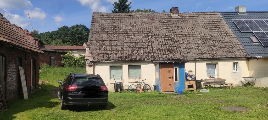 bliźniak Lejkowo. Zdjęcie 8