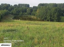 Działka rekreacyjna Wildno. Zdjęcie 4