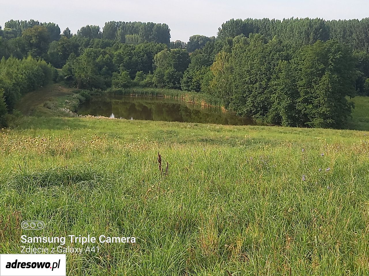Działka rekreacyjna Wildno. Zdjęcie 5