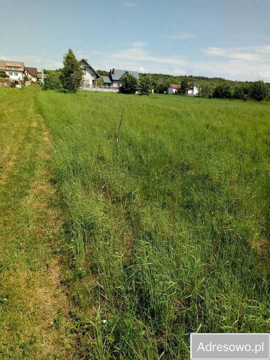 Działka budowlana Bolmin Milechowy. Zdjęcie 6