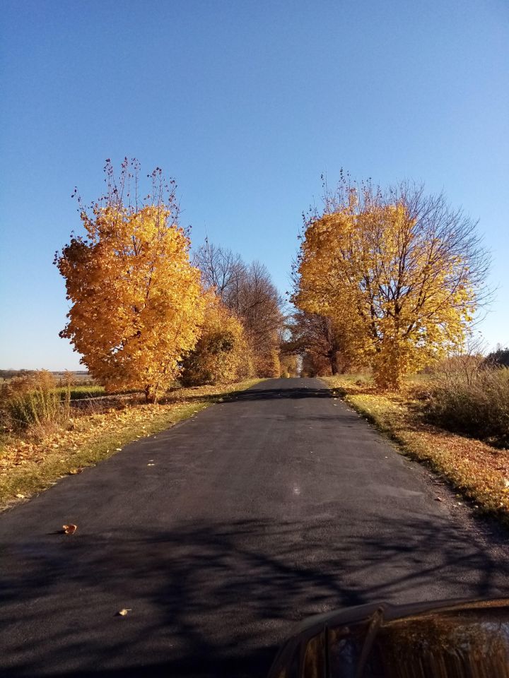 Działka budowlana Żarnów, ul. Leśna. Zdjęcie 3