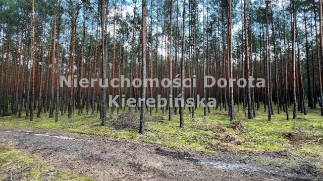 Działka rekreacyjna Inowłódz. Zdjęcie 8