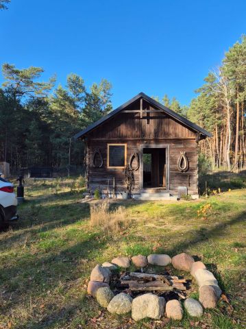 Działka leśna Stefanów. Zdjęcie 1