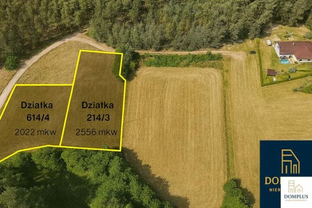 Działka budowlana Chojno-Wieś. Zdjęcie 1