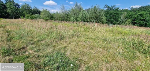 Działka inna Mogilno Duże. Zdjęcie 1
