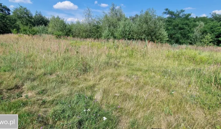 Działka inna Mogilno Duże