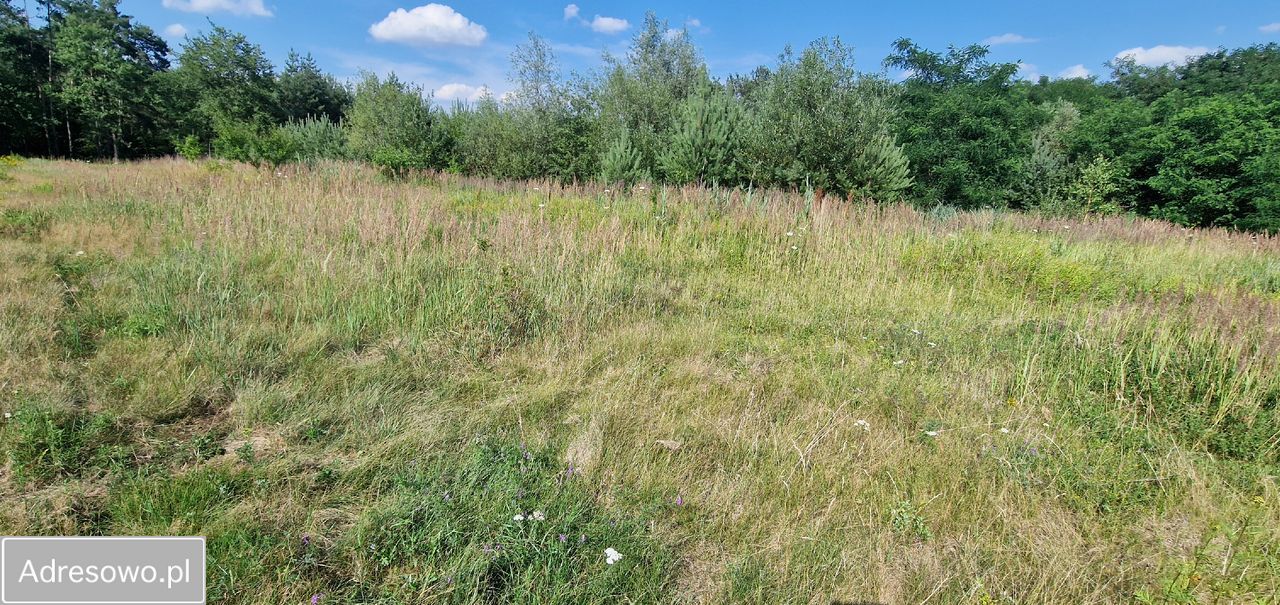 Działka inna Mogilno Duże