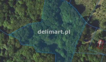 Działka leśna Górki