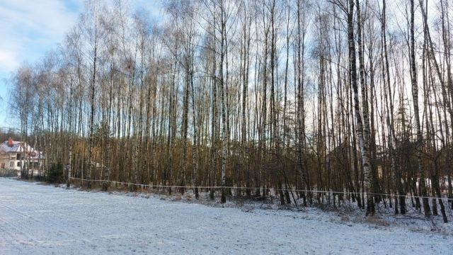Działka budowlana Kalinowo. Zdjęcie 1