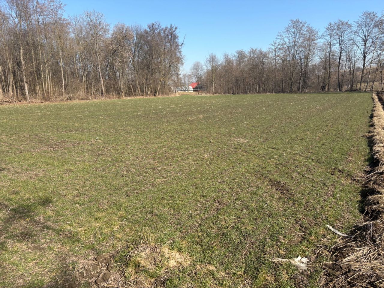 Działka rolno-budowlana Pierocice. Zdjęcie 2