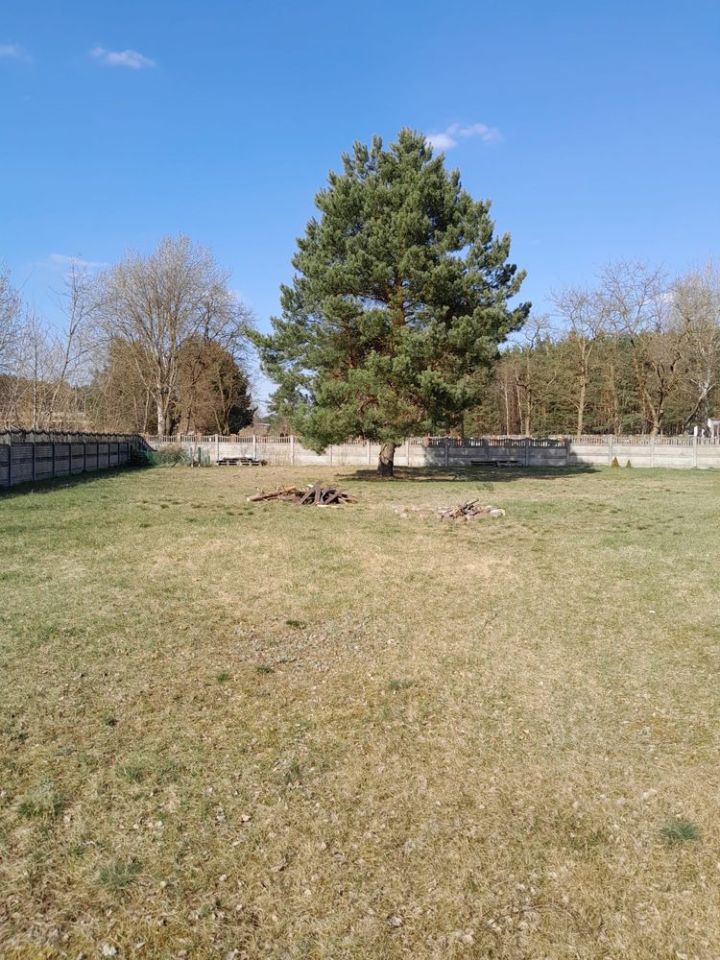 Działka budowlana Maksymilianowo. Zdjęcie 4