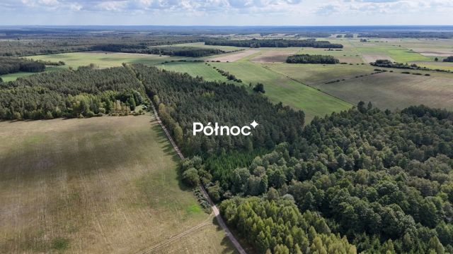 Działka leśna Pieńczykowo. Zdjęcie 4