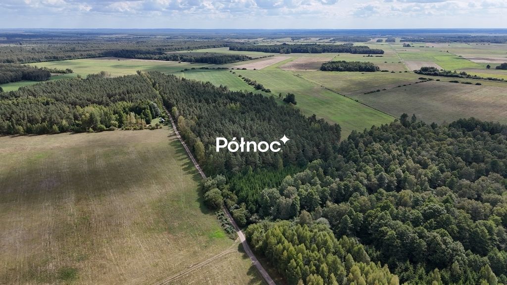 Działka leśna Pieńczykowo. Zdjęcie 4