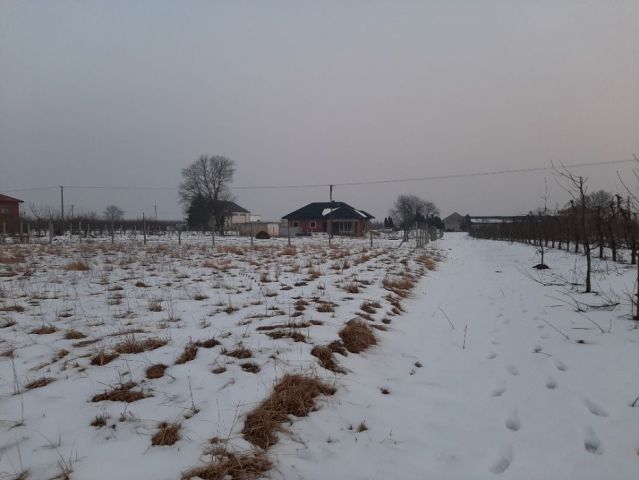 Działka rolno-budowlana Chwałki. Zdjęcie 1