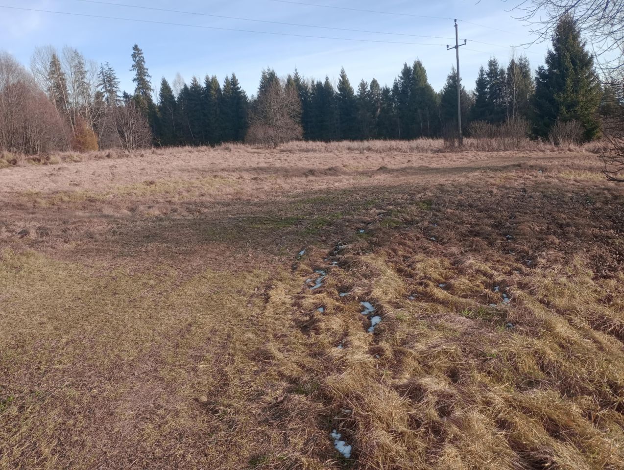 Działka rolna Zubrzyca Dolna. Zdjęcie 1