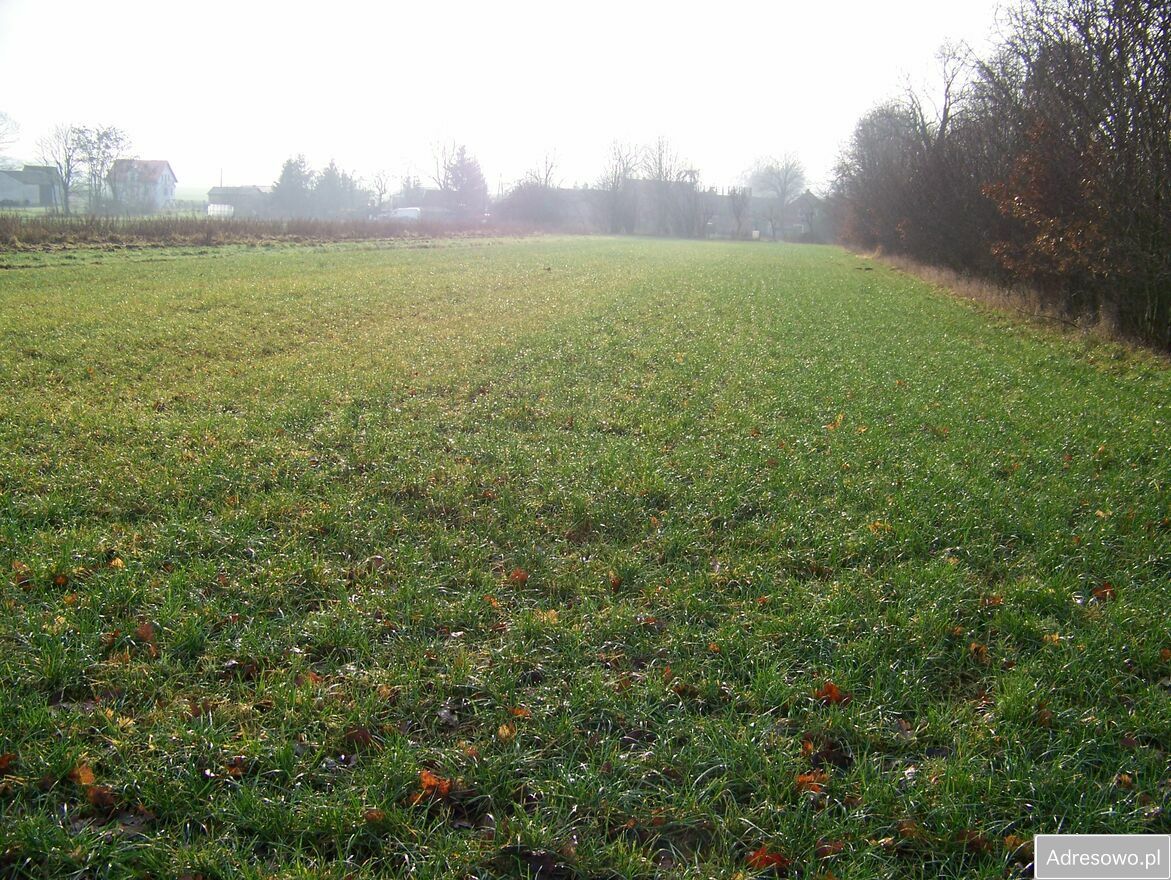 Działka rolna Dargikowo. Zdjęcie 6