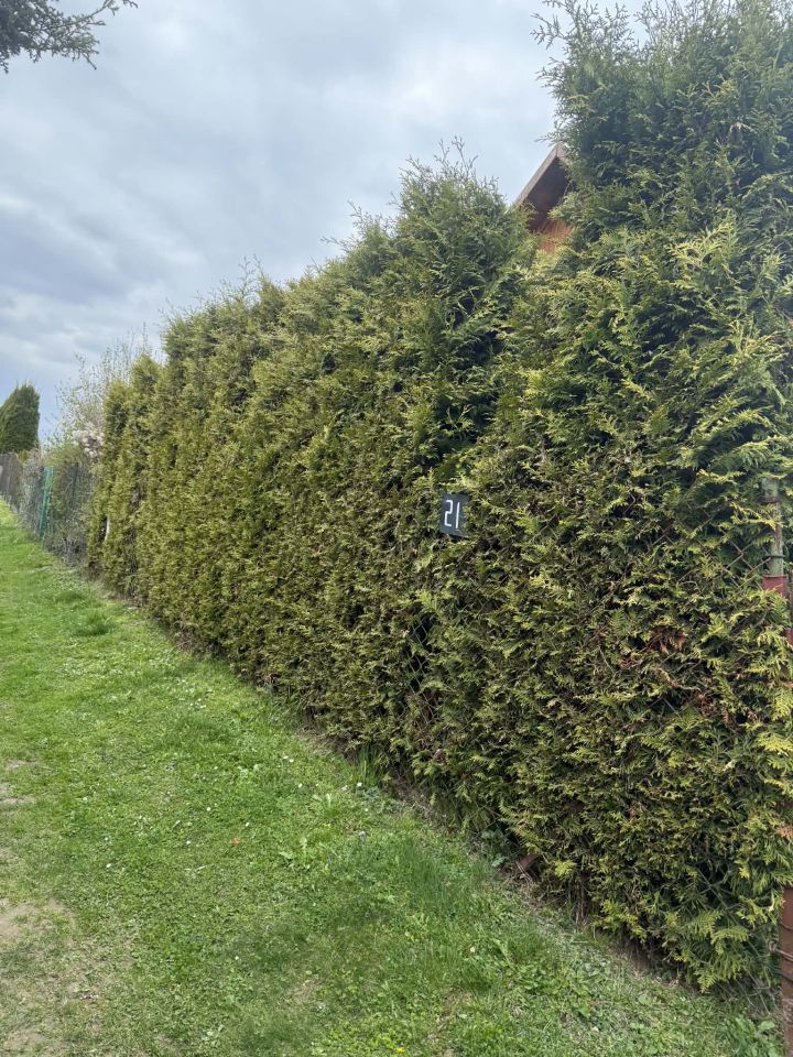 Działka rekreacyjna Przemyśl Lipowica, ul. Generała Józefa Wysockiego Rod Górnik. Zdjęcie 7