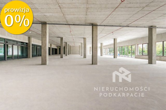 Lokal Rzeszów, ul. Fryderyka Szopena. Zdjęcie 7