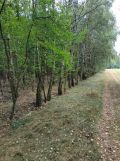 Działka rolna Białków Górny. Zdjęcie 2