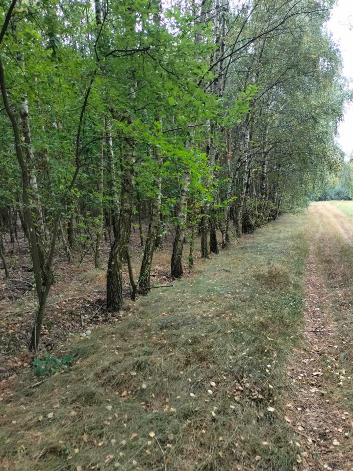 Działka rolna Białków Górny. Zdjęcie 3