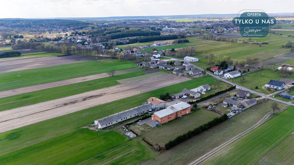 Lokal Polichno. Zdjęcie 12