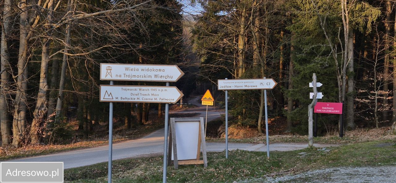 Działka budowlana Jodłów. Zdjęcie 11