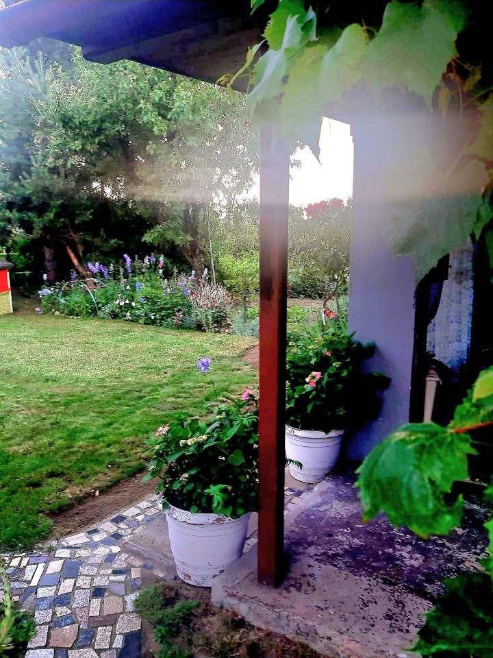 Działka rod Krotoszyn, ul. Bolewskiego. Zdjęcie 4