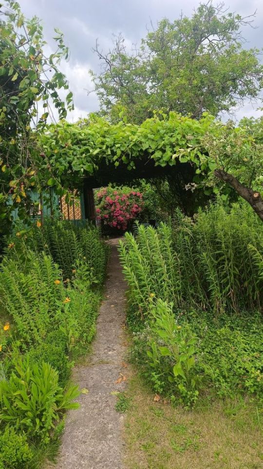 Działka rod Wrocław Brochów, ul. Ignacego Mościckiego. Zdjęcie 6