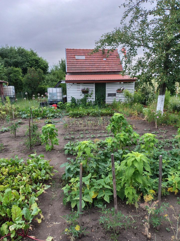 Działka rod Prochowice, ul. Jaworowska. Zdjęcie 2