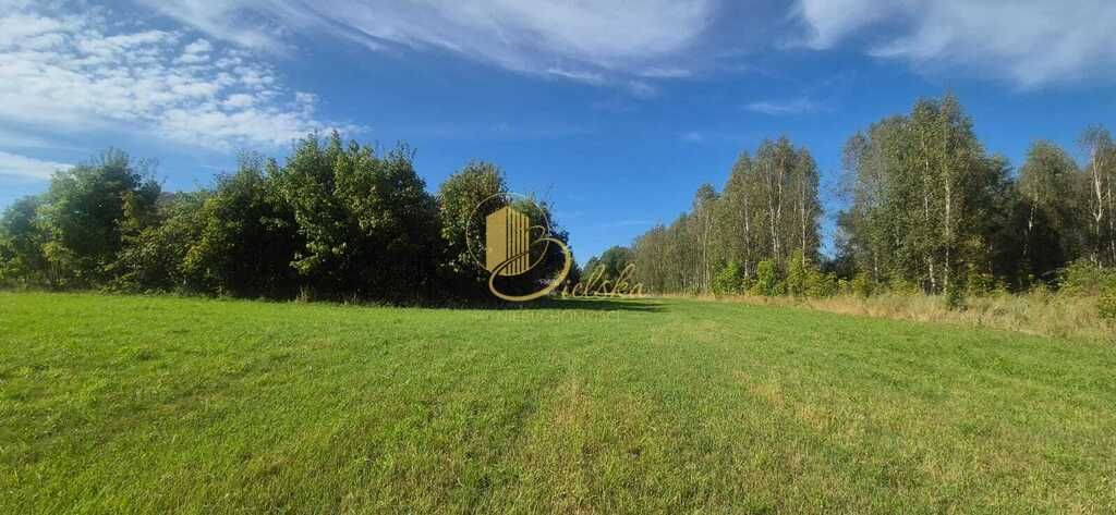 siedlisko, 3 pokoje Bierniki. Zdjęcie 6