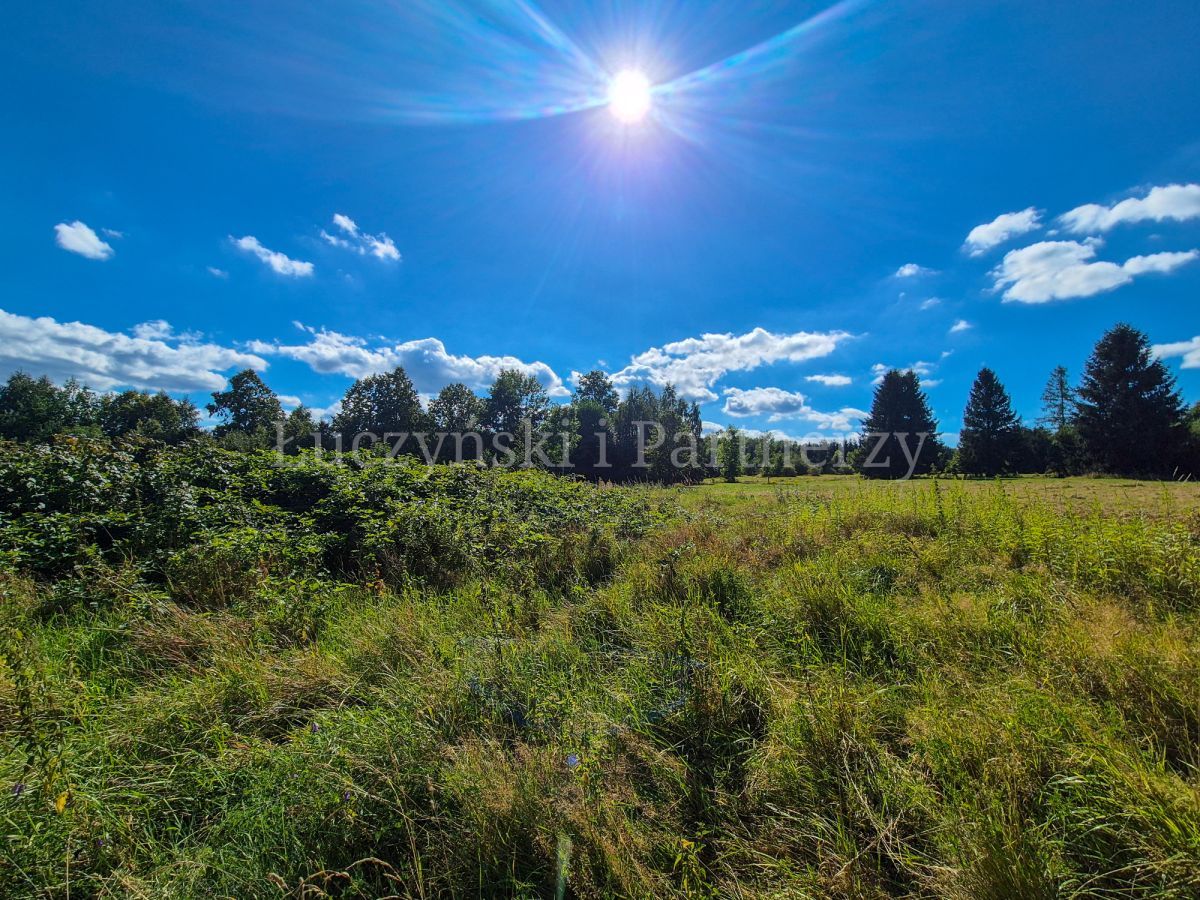 Działka siedliskowa Kłopotnica. Zdjęcie 5