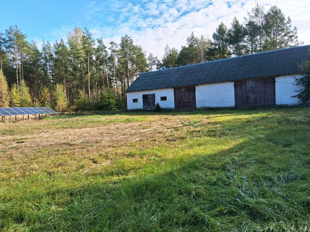 Działka siedliskowa Krusza. Zdjęcie 3