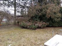 Działka rod Gliwice Stare Gliwice, ul. Kozielska. Zdjęcie 4