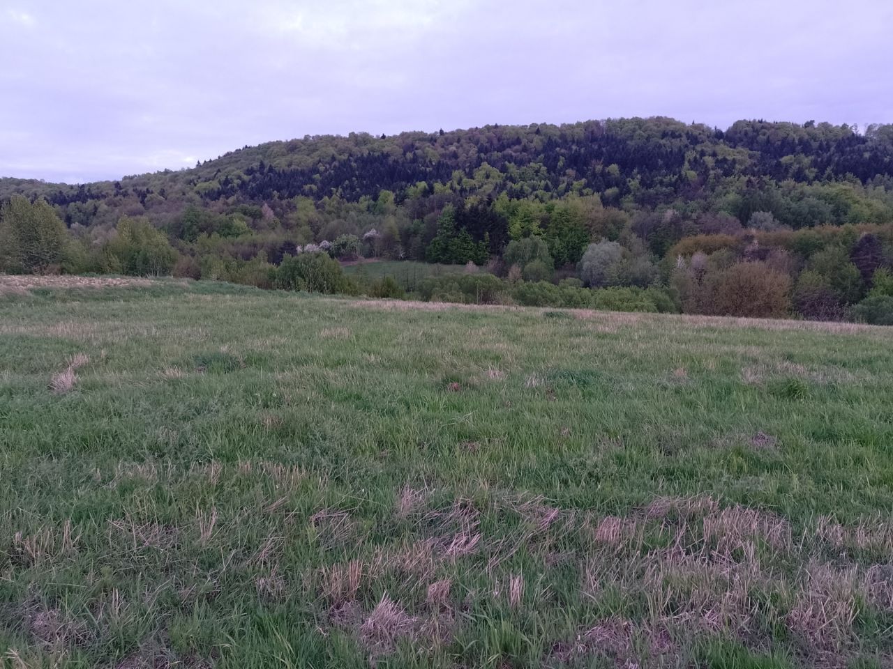 Działka budowlana Jaszczurowa. Zdjęcie 5