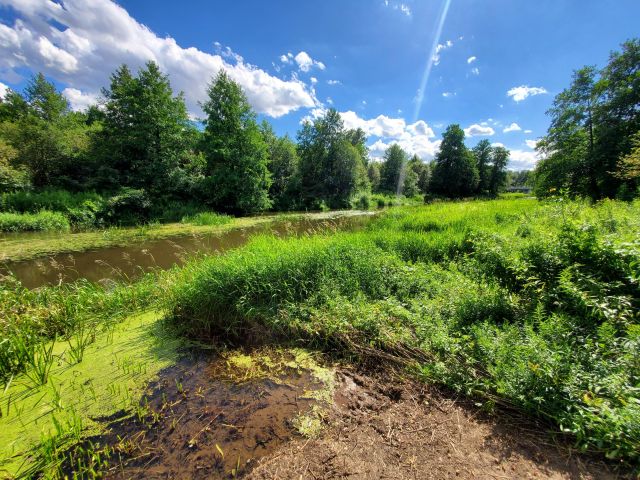 Działka rekreacyjna Czerwona Wola. Zdjęcie 1