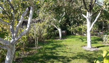 Działka rod Opole Armii Krajowej, ul. Kazimierza Sosnkowskiego