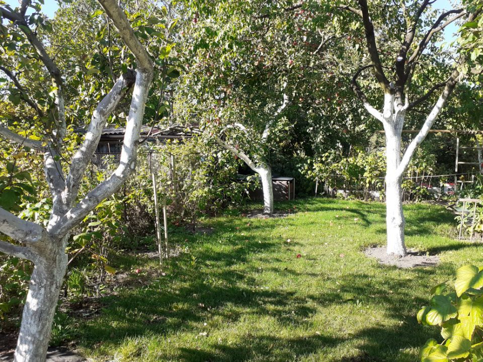 Działka rod Opole Armii Krajowej, ul. Kazimierza Sosnkowskiego. Zdjęcie 2