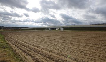 Działka inwestycyjna Kaźmierzów