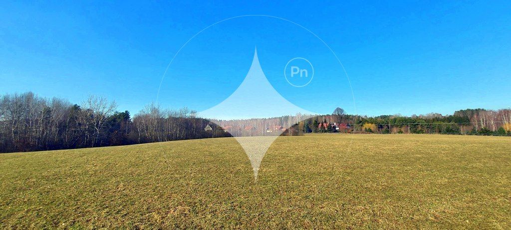 Działka rolna Marcinkowo. Zdjęcie 4