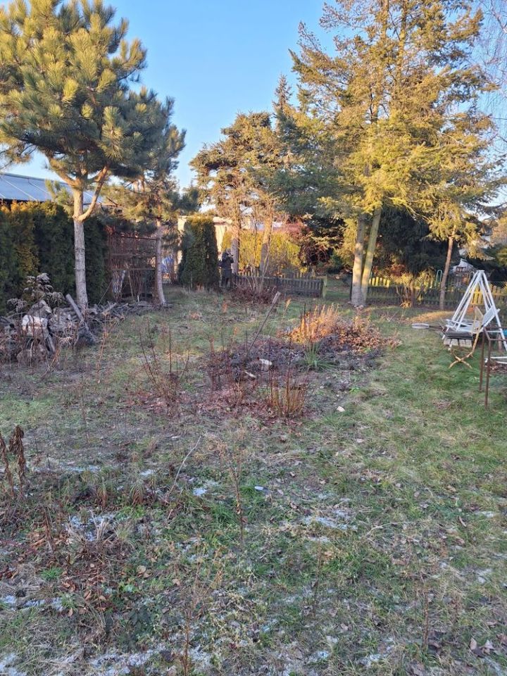 Działka rod Koninko. Zdjęcie 7