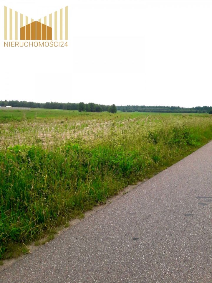 Działka rolna Cegłów. Zdjęcie 3