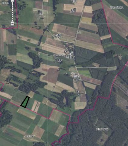 Działka rolna Purzyce. Zdjęcie 1