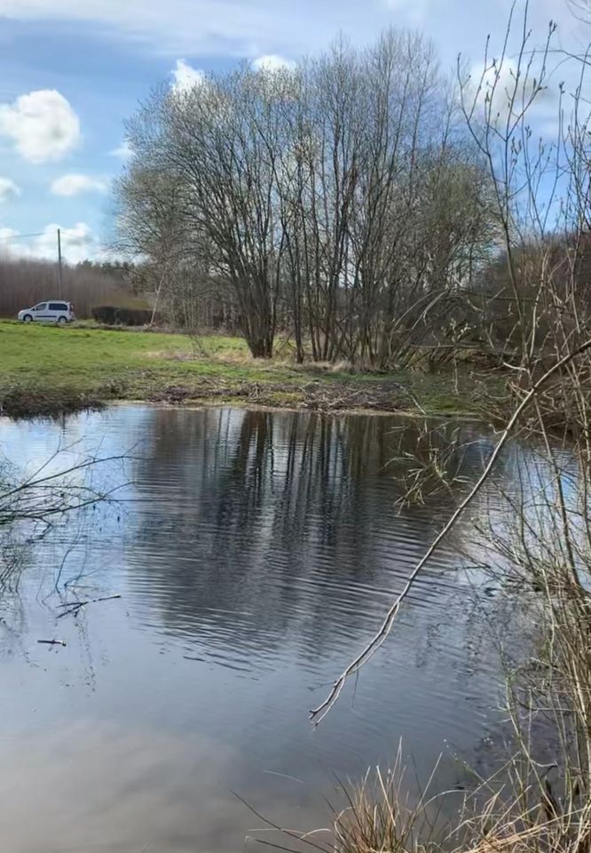 Działka rolna Smolne. Zdjęcie 1