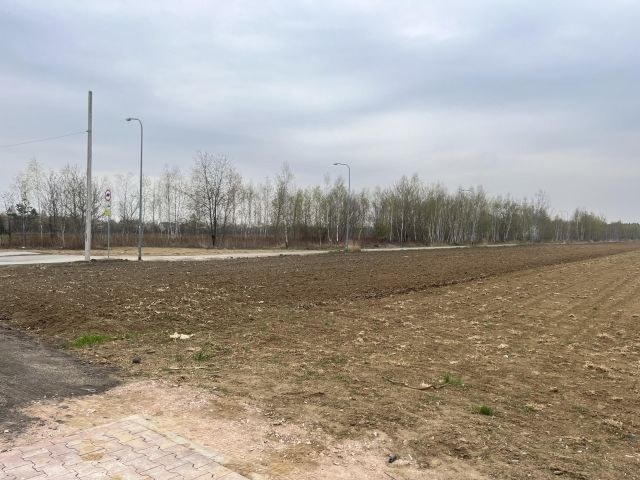 Działka rolno-budowlana Dziekanów Nowy, ul. Poziomkowa. Zdjęcie 2