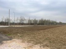 Działka rolno-budowlana Dziekanów Nowy, ul. Poziomkowa. Zdjęcie 1