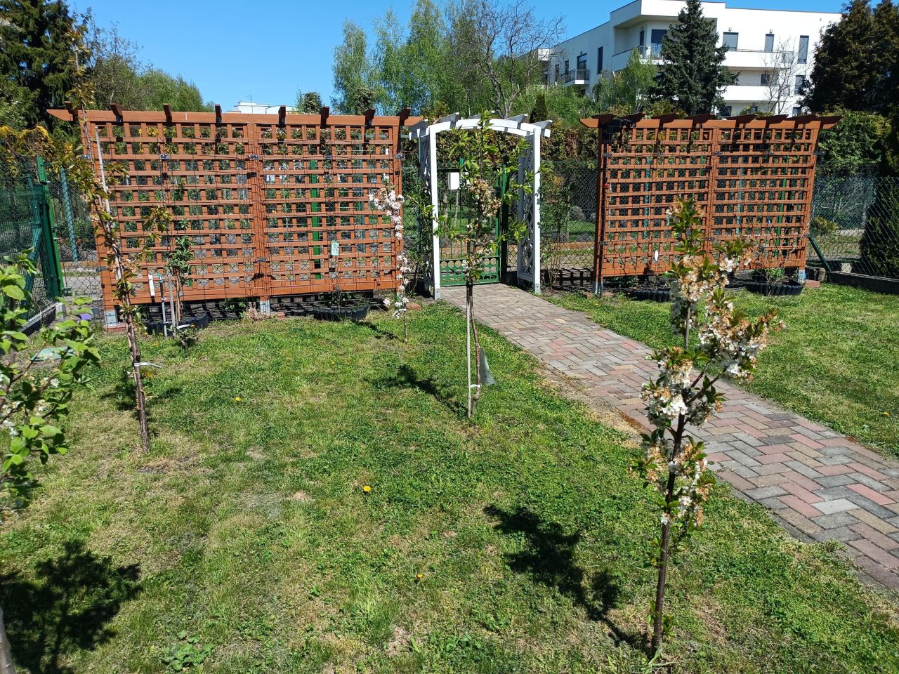 Działka rod Toruń Mokre, ul. Grudziądzka. Zdjęcie 7