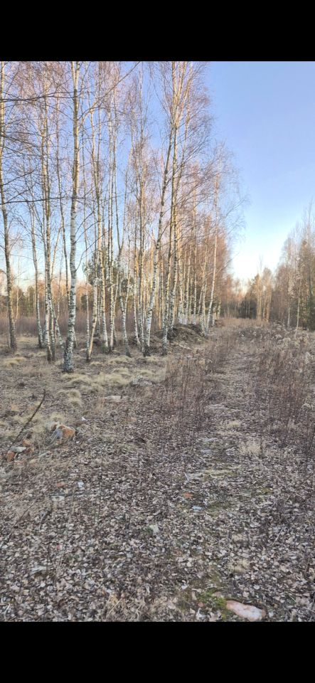 Działka budowlana Rakówiec, Rakówiec. Zdjęcie 3