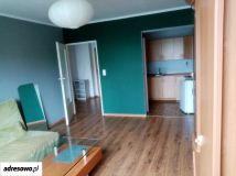 Mieszkanie 2-pokojowe Opole Nadodrze, ul. Stefana Okrzei. Zdjęcie 4