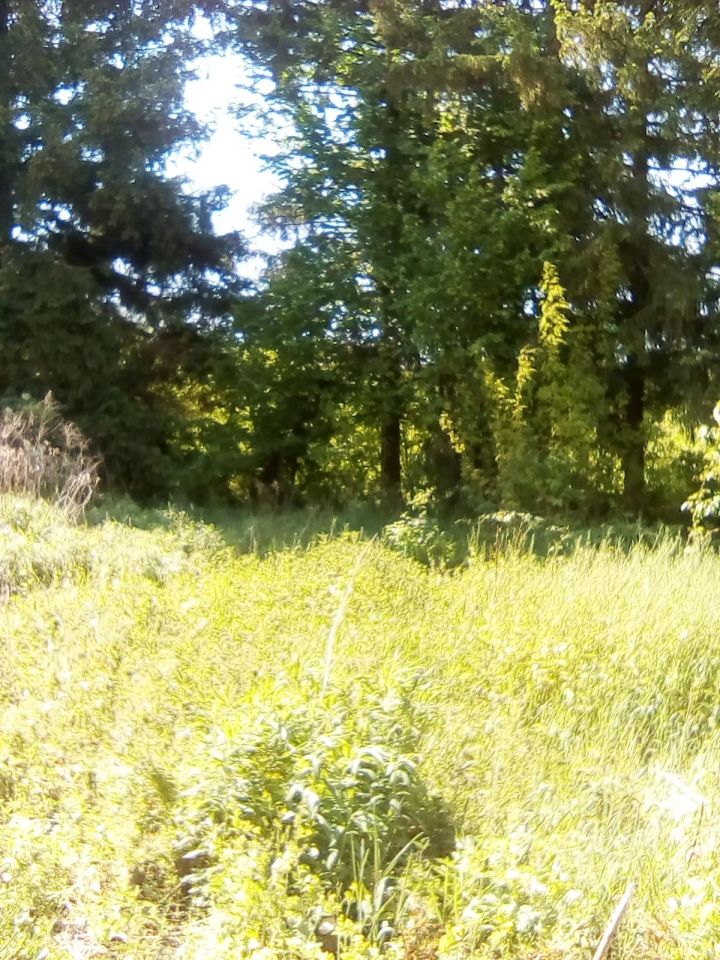 dom wolnostojący, 2 pokoje Budy-Kałki. Zdjęcie 7