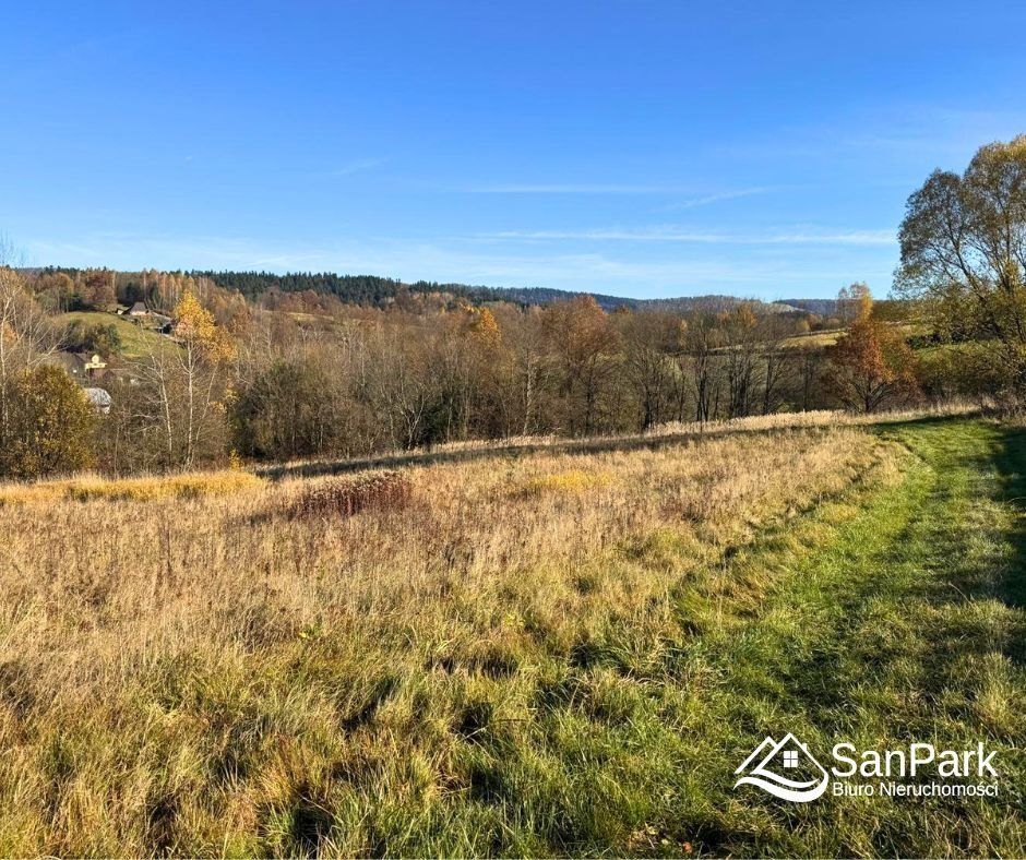 Działka rolna Bezmiechowa Dolna. Zdjęcie 6